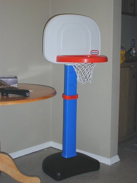 Basketball Net