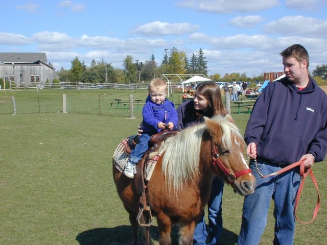 Cameron on a pony!